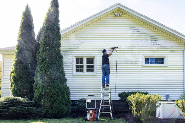 Best Roof Pressure Washing  in De Soto, MO